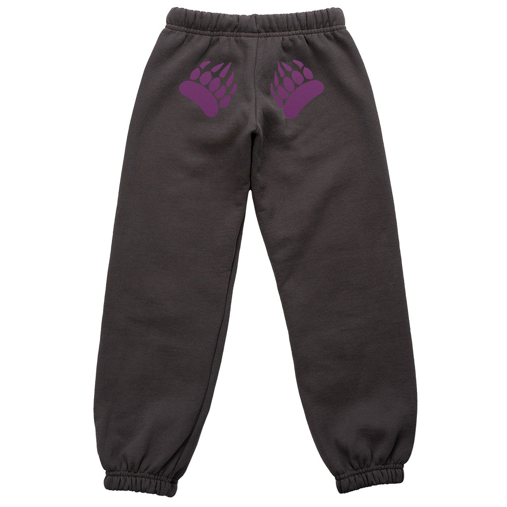 https://muskokabearwear.com/cdn/shop/files/youth-paw-pants-dark-charcoal-dahlia-1_1024x1024.jpg?v=1705009062