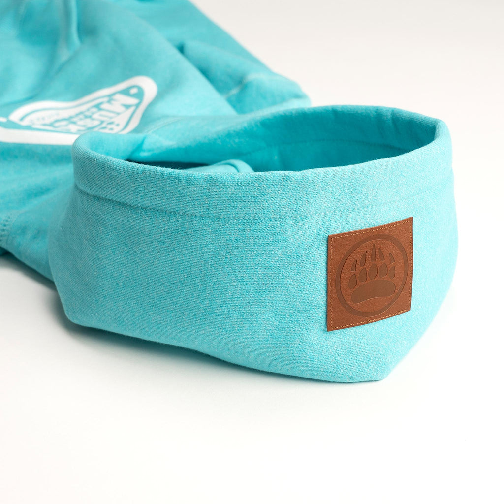 Muskoka Bear Wear – Youth Vintage Hoody in Heather Aqua
