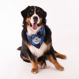 Muskoka Bear Wear – Doggie Bandana in Blue Plaid