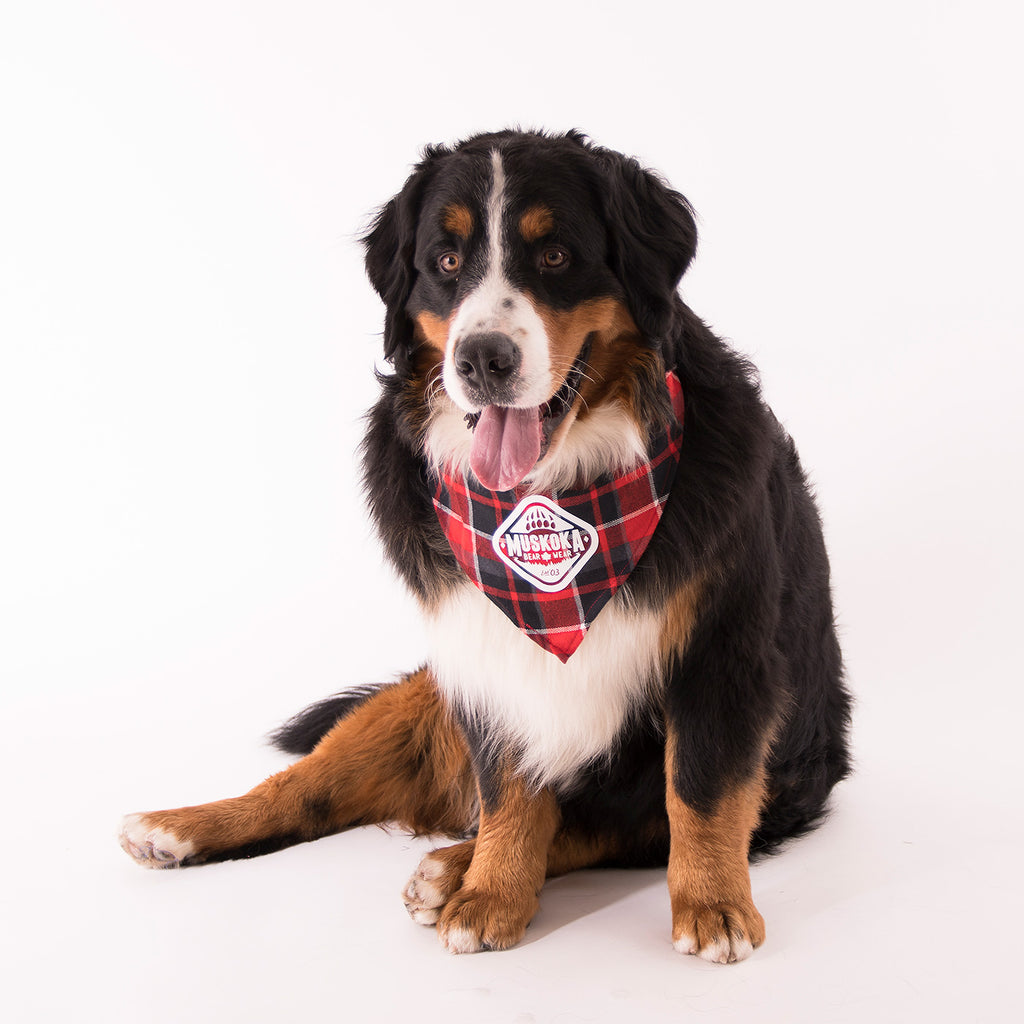 Muskoka Bear Wear – Doggie Bandana in Red Plaid